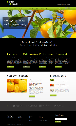 农产 食品 水果类模板